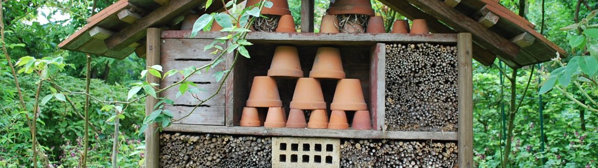 piège naturel pour les insectes