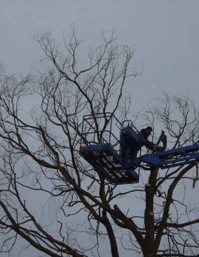 Nacelle pour élagage d'arbre