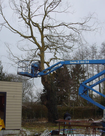 Nacelle pour élagage