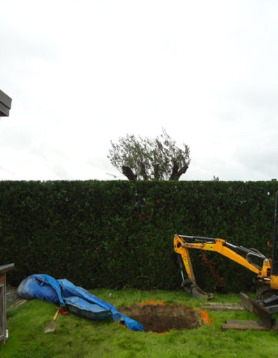 Grue pour plantation arbre