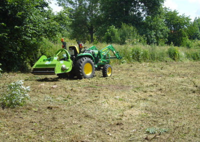 Fauchage de hautes herbes