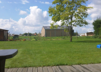 Gazon - pelouse
